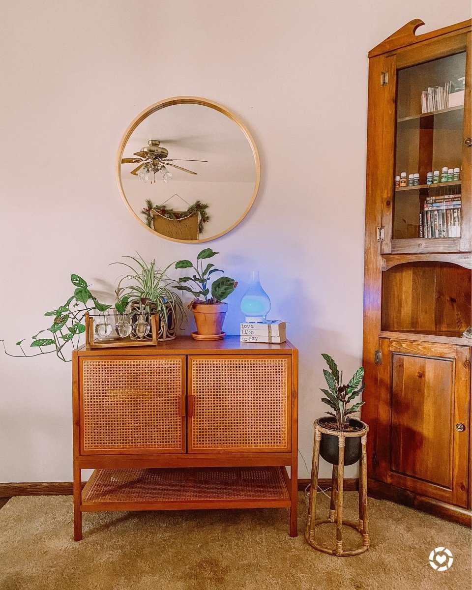 Cane Cabinet