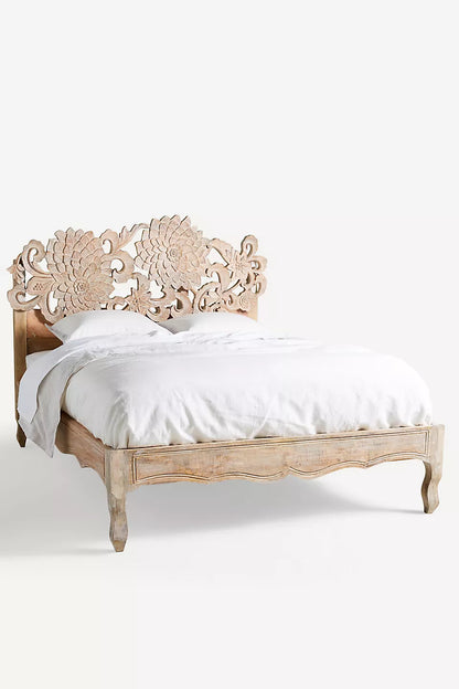 Anthropology lotus bed